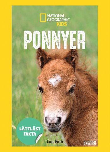 bokomslag Ponnyer