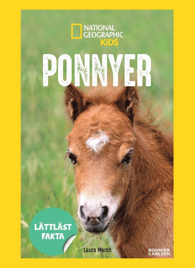 Ponnyer 1