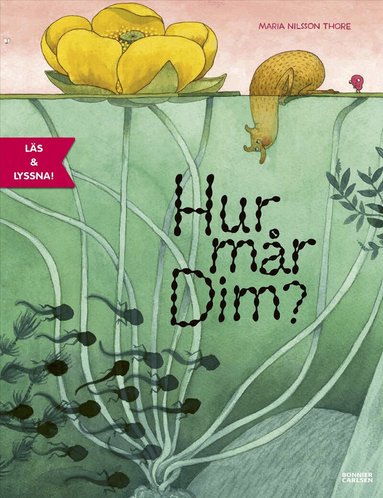 Maria Nilsson Thore - Hur mår Dim?, Inbunden
