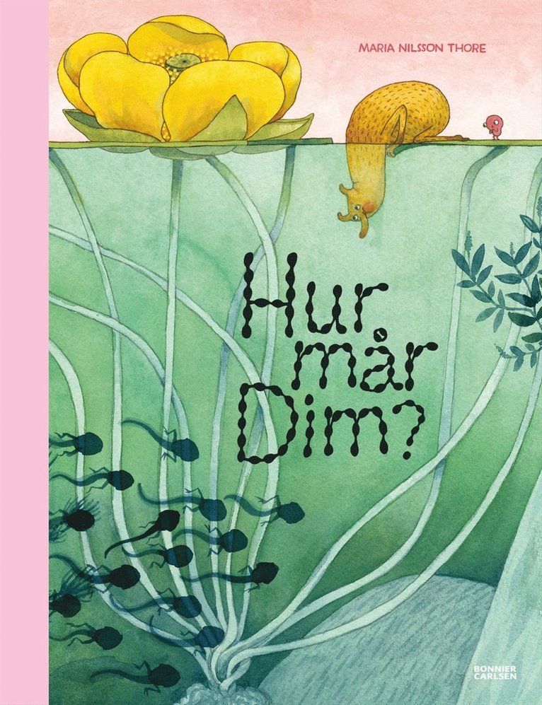 Hur mår Dim? 1