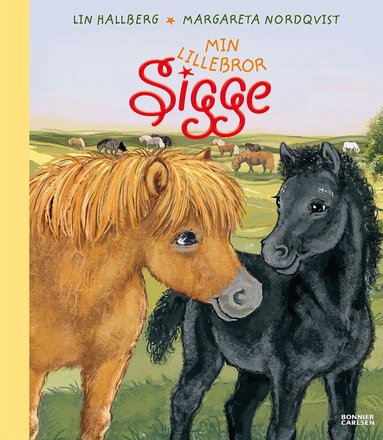 Lin Hallberg - Min lillebror Sigge, Inbunden