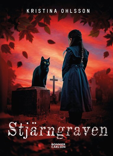 Kristina Ohlsson - Stjärngraven, Kartonnage