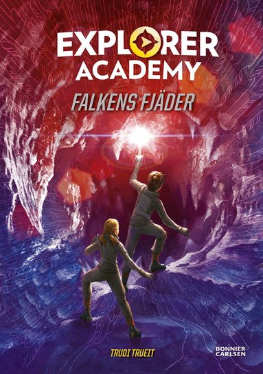 Trudi Trueit - Falkens fjäder, Kartonnage