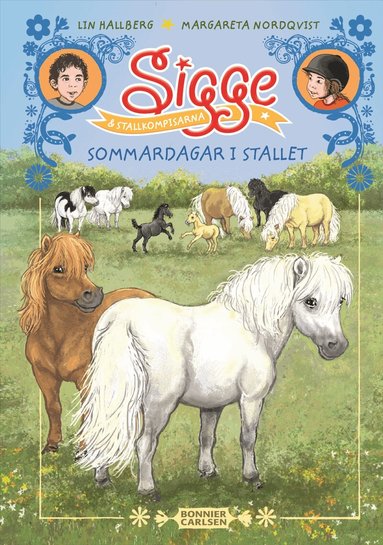 Lin Hallberg - Sommardagar i stallet, Inbunden