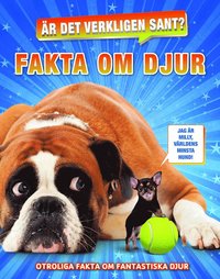 bokomslag Är det verkligen sant? : fakta om djur