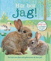 bokomslag Här bor jag!