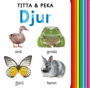 bokomslag Titta & peka : djur