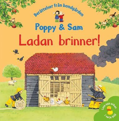 Heather Amery, Stephen Cartwright - Ladan brinner!, Inbunden