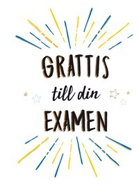 bokomslag Grattis till din examen