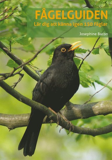bokomslag Fågelguiden: lär dig känna igen 150 fåglar