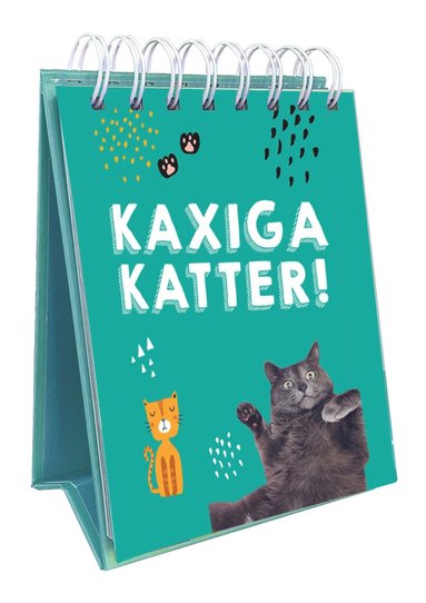 bokomslag Kaxiga katter