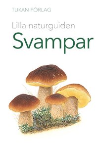 bokomslag Lilla naturguiden: svampar
