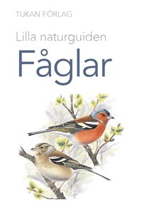 bokomslag Lilla naturguiden: fåglar