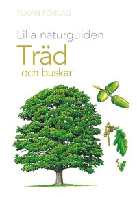 bokomslag Lilla naturguiden: träd och buskar