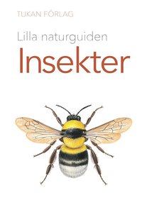 bokomslag Lilla naturguiden: insekter