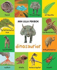 bokomslag Min lilla pekbok : dinosaurier