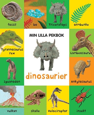 Min lilla pekbok : dinosaurier, Inbunden