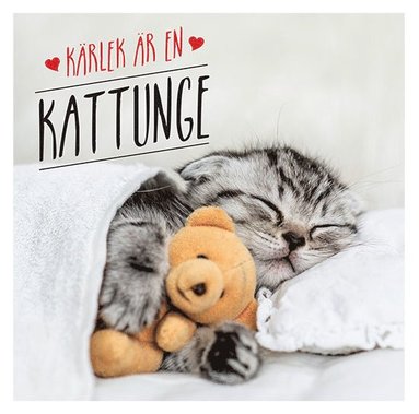 bokomslag Kärlek är en kattunge