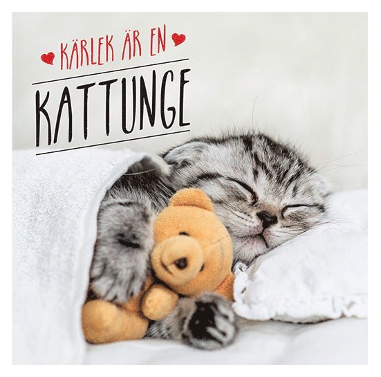 Kärlek är en kattunge 1