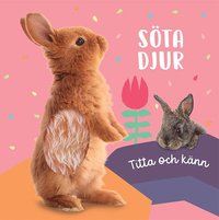 bokomslag Titta och känn : söta djur