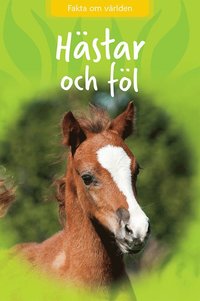 bokomslag Hästar och föl