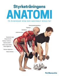 bokomslag Styrketräningens anatomi : 75 övningar som ger maximalt resultat