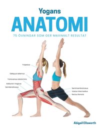 bokomslag Yogans anatomi : 75 övningar som ger maximalt resultat