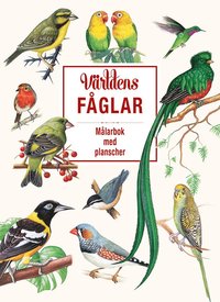 bokomslag Världens fåglar : Målarbok med planscher