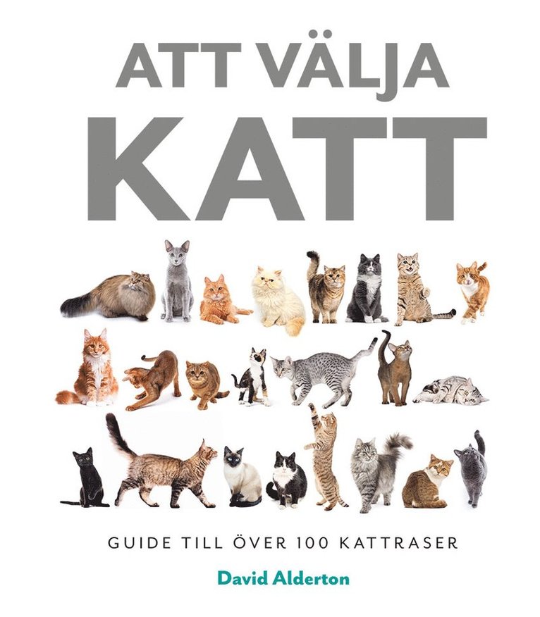 Att välja katt: guide till över 100 kattraser 1