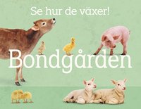 bokomslag Se hur de växer! Bondgården