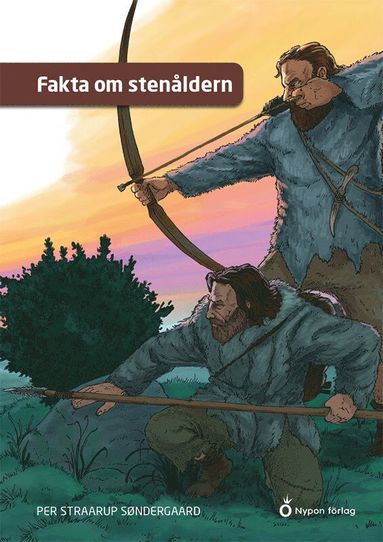 bokomslag Fakta om stenåldern