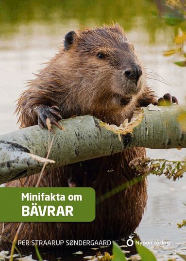 Per Straarup Søndergaard - Minifakta om bävrar, Inbunden