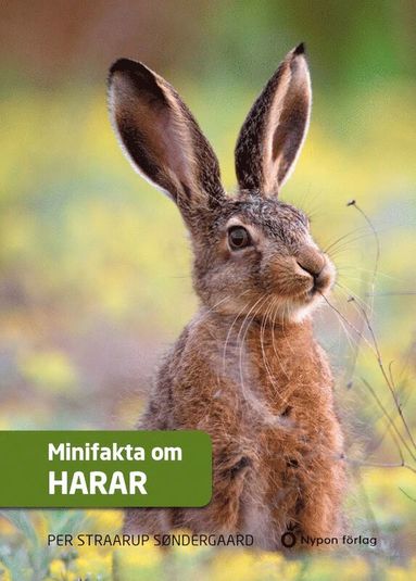 bokomslag Minifakta om harar