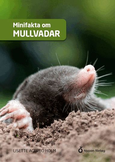 Lisette Aagerbo Holm - Minifakta om mullvadar, Inbunden