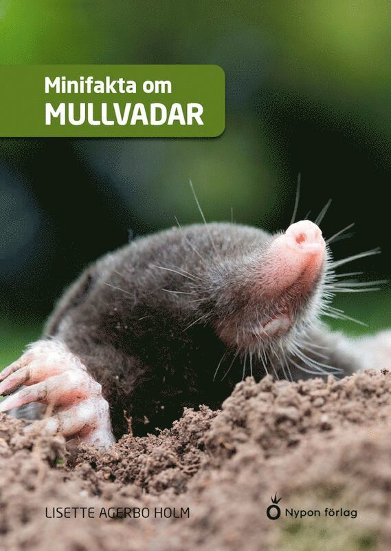 Lisette Aagerbo Holm - Minifakta om mullvadar, Inbunden