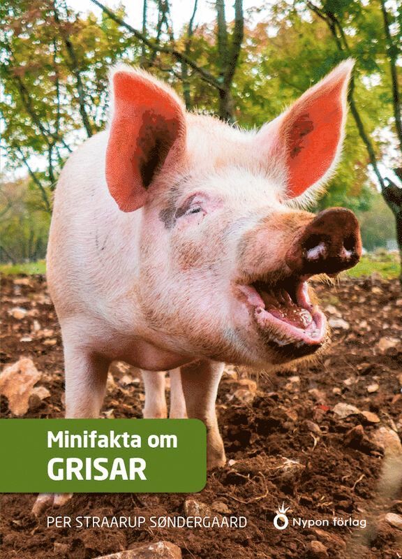 Per Straarup Søndergaard - Minifakta om grisar, Inbunden