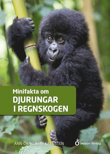 bokomslag Minifakta om djurungar i regnskogen