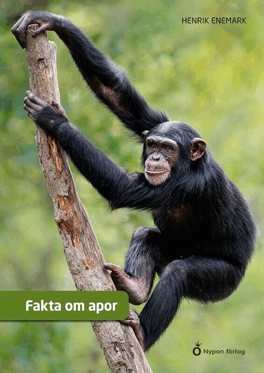 Henrik Enemark - Fakta om apor, Kartonnage