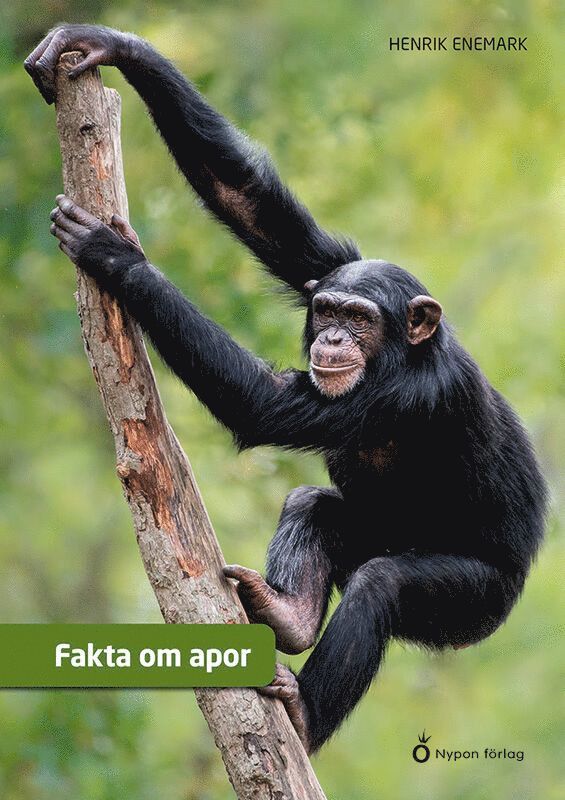 Fakta om apor 1