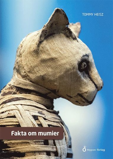 bokomslag Fakta om mumier