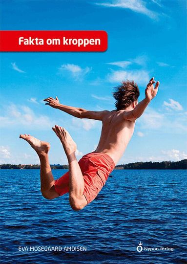 Eva Mosegaard Amdisen - Fakta om kroppen, Kartonnage