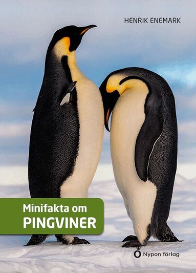 Henrik Enemark - Minifakta om pingviner, Kartonnage