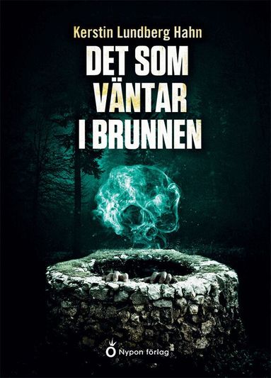 Kerstin Lundberg Hahn - Det som väntar i brunnen, Kartonnage