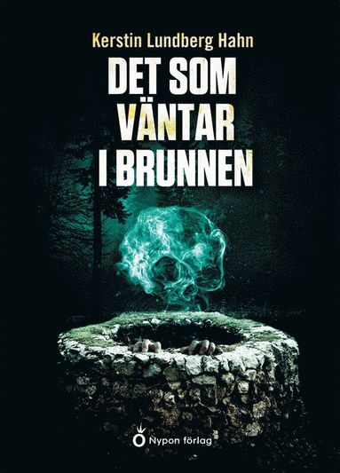 bokomslag Det som väntar i brunnen