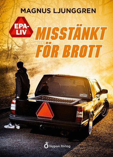 Magnus Ljunggren - Misstänkt för brott, Kartonnage