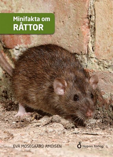 bokomslag Minifakta om råttor