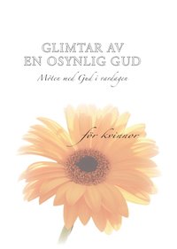 bokomslag Glimtar av en osynlig Gud : möten med Gud i vardagen : för kvinnor