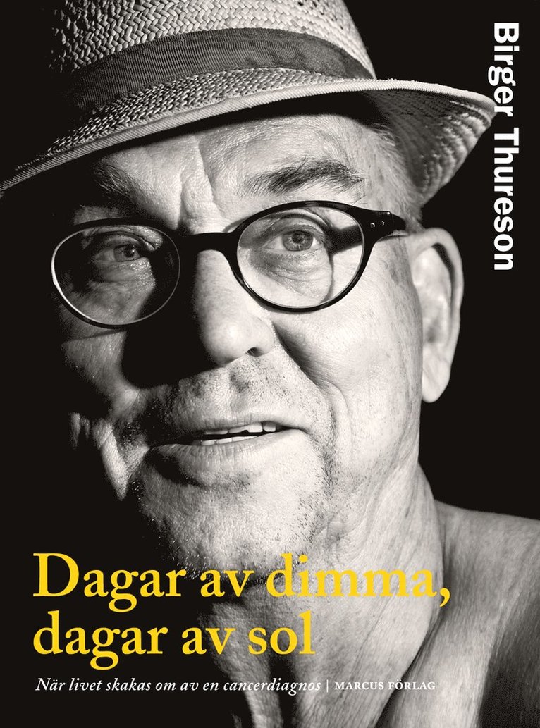 Dagar av dimma, dagar av sol : när livet skakas om av en cancerdiagnos