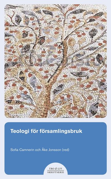 Sofia Camnerin - Teologi för församlingsbruk, Häftad