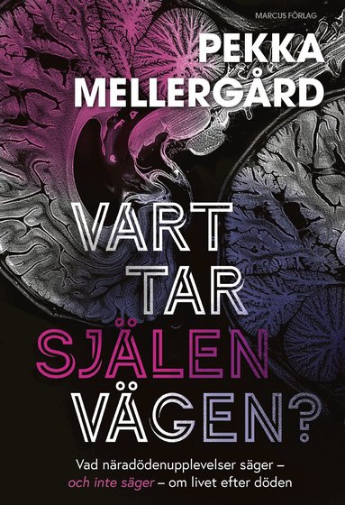 Pekka Mellergård - Vart tar själen vägen? : Vad näradödenupplevelser säger –  och inte säger – om livet efter döden, Kartonnage